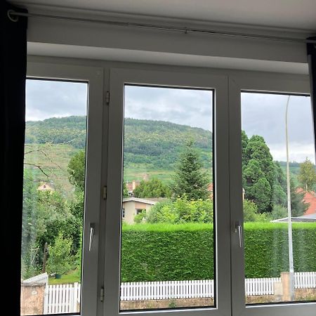 Apartmán Le Cocon Guebwiller Exteriér fotografie